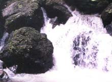 Golf Courses in Goa