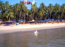 Palolem Beach Goa