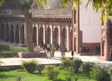Gardens in Agra