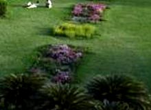 Gardens in Allahabad
