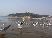 Sangam Allahabad