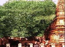 Holy Places in Jaunpur
