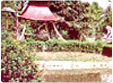 Buddha Park Kanpur
