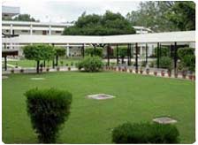 Gardens in Kanpur
