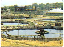 Jajmau Kanpur 