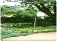 Phool Bagh Kanpur