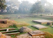 Gardens in Kushinagar