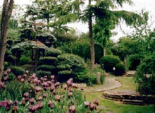 Japanese Garden Kushinagar