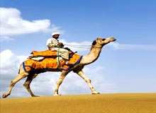Heritage Tour of Rajasthan