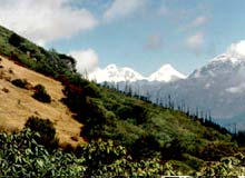 Laya Gasa Trek - Bhutan 