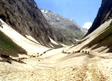 Amarnath Yatra by Helicopter (from Sonmarg)