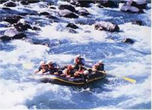 Assam Arunachal Tours