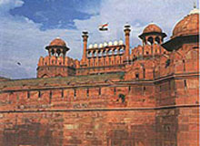 Central India Magical Tour