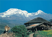 Himachal Heritage Tour