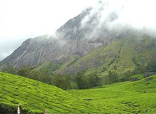 Coast to Mountain