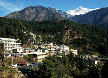 Dhauladhar Ranges Tour