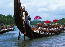Kerela Honeymoon Tour