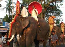 Discover Kerala