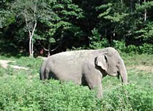 Eastern Arunachal Cultural Tribal Tour
