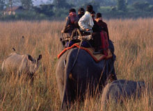 elephant-safari