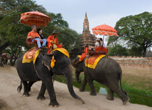 elephant-safari