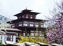Forts, Haveli, Palaces & Monasteries Tour with Bhutan