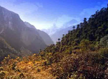 gangtey-gogona-khotokh-trek