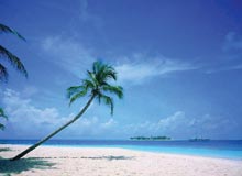 Andaman Island Honeymoon Tour