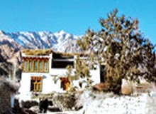 Hemis to Zangla by Junglam Trekking