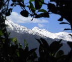 Himachal Tour