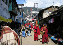Himachal Relax Tour