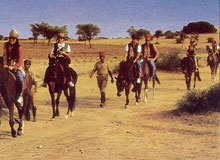 Horse safari in Rajasthan