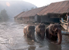 Discover India