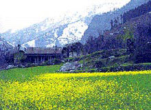 Kashmir Trek Program