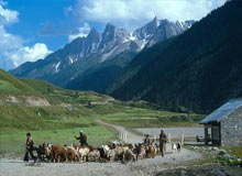Ladakh Adventure Tours