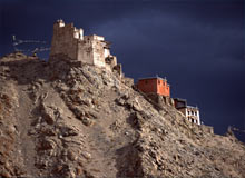 ladakh Culture