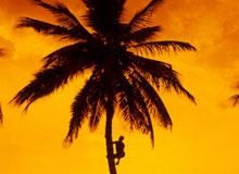 lakshdeep-tour2