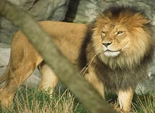 South India Jungle Tour