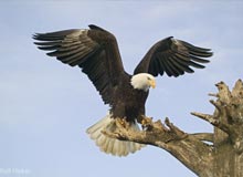 South India Jungle Tour