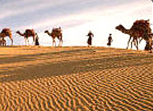 Splendor rajasthan Erotic Temple