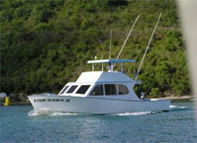 The Virgin Coast