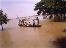 Tribal Tour Of Orissa