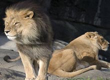 Wildlife Tour Of East India