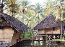 Travel to Cochin
