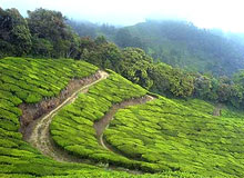 Travel to Chennai