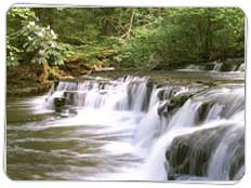 Corbett Waterfalls in Uttaranchal