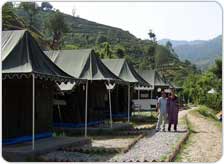 Chardham Camp Badrinath