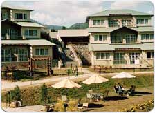 Club Mahindra resort Binsar