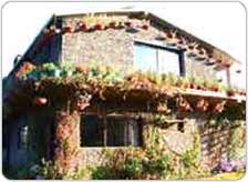 Cedar Lodge Nainital