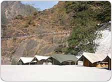 Camps in Rishikesh